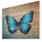 Designart - Blue Vintage Butterfly - Floral Art Print on Natural Pine Wood